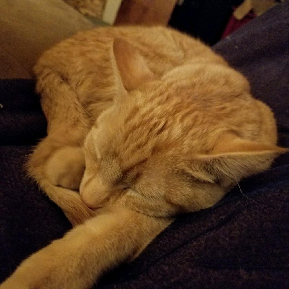 Meet your Posher, Sonja